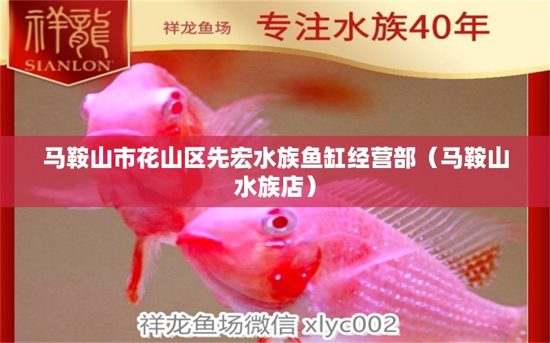 马鞍山市花山区先宏水族鱼缸经营部（马鞍山水族店）