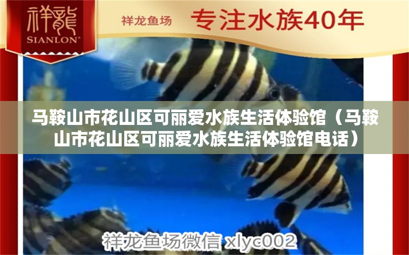 马鞍山市花山区可丽爱水族生活体验馆（马鞍山市花山区可丽爱水族生活体验馆电话）