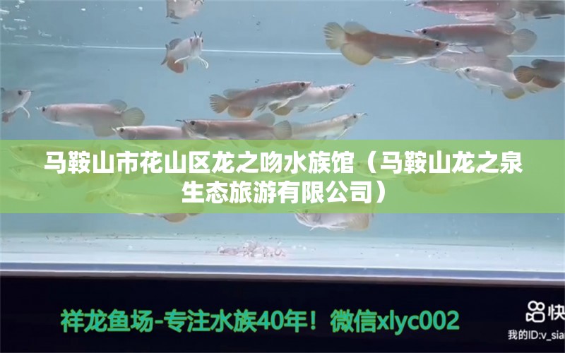 马鞍山市花山区龙之吻水族馆（马鞍山龙之泉生态旅游有限公司） 全国水族馆企业名录