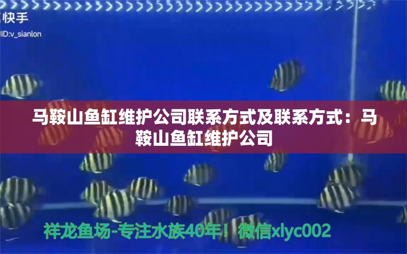 马鞍山鱼缸维护公司联系方式及联系方式：马鞍山鱼缸维护公司 鱼缸百科 第2张