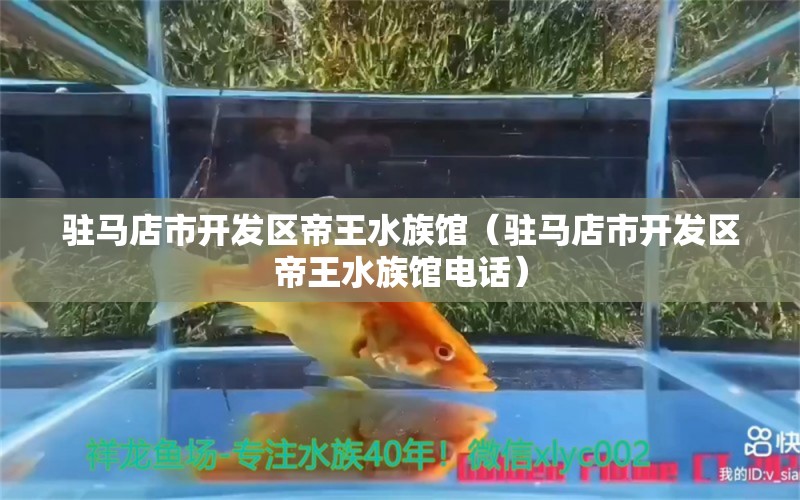 驻马店市开发区帝王水族馆（驻马店市开发区帝王水族馆电话）