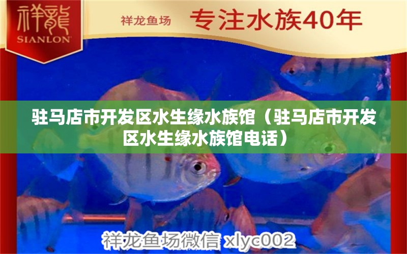 驻马店市开发区水生缘水族馆（驻马店市开发区水生缘水族馆电话） 全国水族馆企业名录