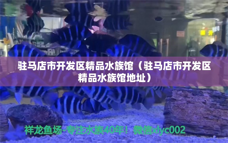 驻马店市开发区精品水族馆（驻马店市开发区精品水族馆地址） 全国水族馆企业名录