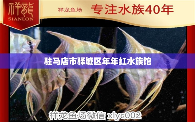 驻马店市驿城区年年红水族馆 全国水族馆企业名录