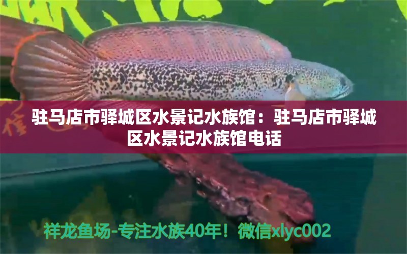 驻马店市驿城区水景记水族馆：驻马店市驿城区水景记水族馆电话