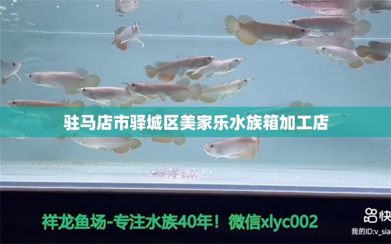 驻马店市驿城区美家乐水族箱加工店 鱼缸/水族箱