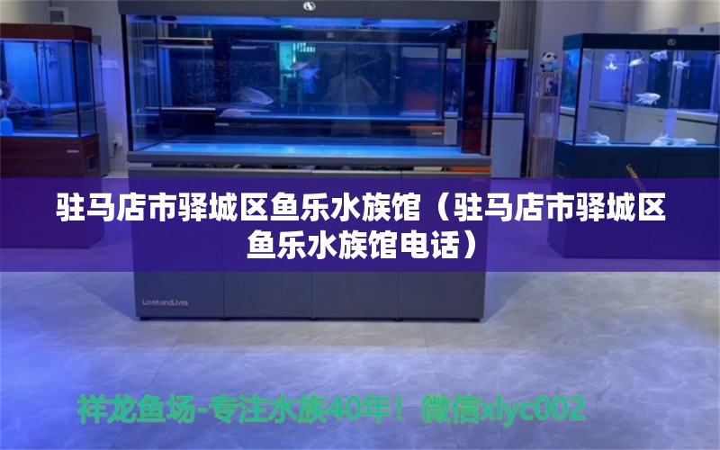 驻马店市驿城区鱼乐水族馆（驻马店市驿城区鱼乐水族馆电话）