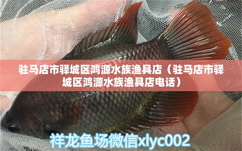 驻马店市驿城区鸿源水族渔具店（驻马店市驿城区鸿源水族渔具店电话）