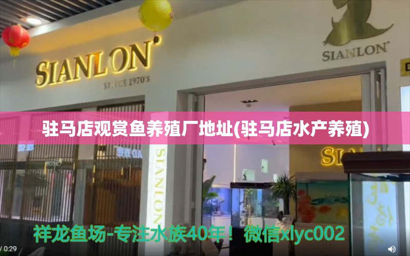 驻马店观赏鱼养殖厂地址(驻马店水产养殖) 古典过背金龙鱼