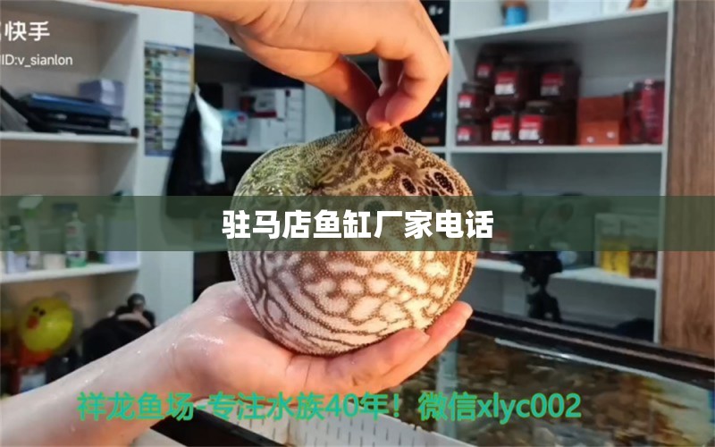 驻马店鱼缸厂家电话 祥龙鱼场