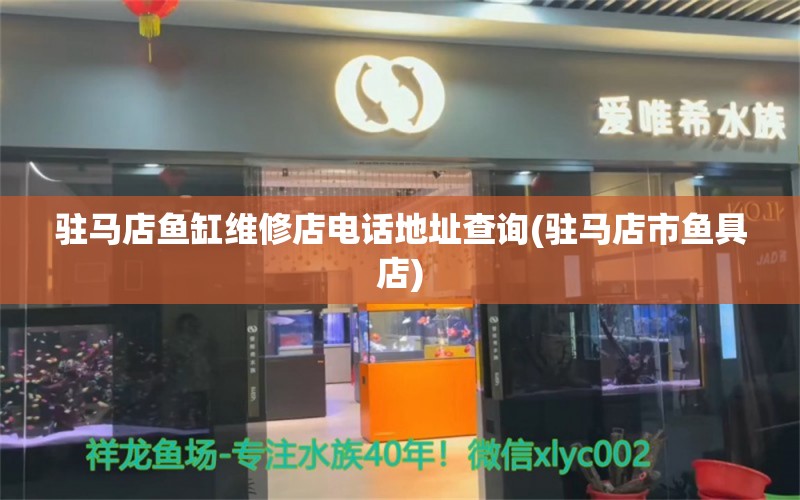 驻马店鱼缸维修店电话地址查询(驻马店市鱼具店)