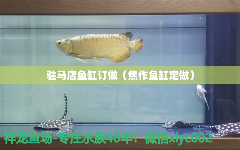 驻马店鱼缸订做（焦作鱼缸定做） 其他品牌鱼缸 第1张