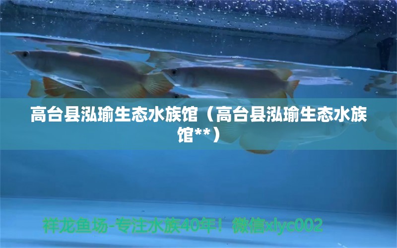 高台县泓瑜生态水族馆（高台县泓瑜生态水族馆**） 全国水族馆企业名录