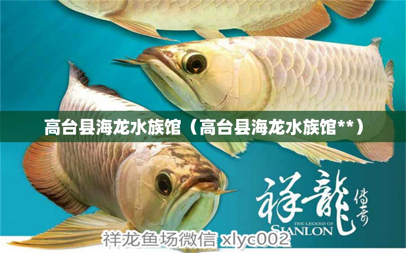 高台县海龙水族馆（高台县海龙水族馆**） 全国水族馆企业名录