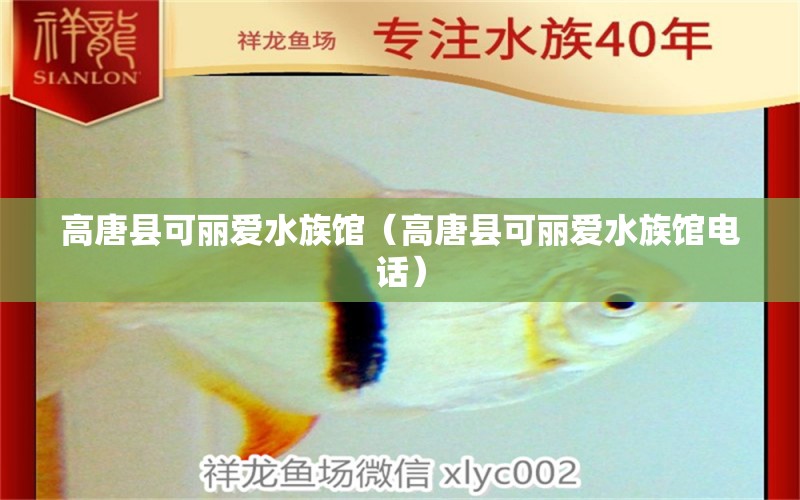 高唐县可丽爱水族馆（高唐县可丽爱水族馆电话） 全国水族馆企业名录