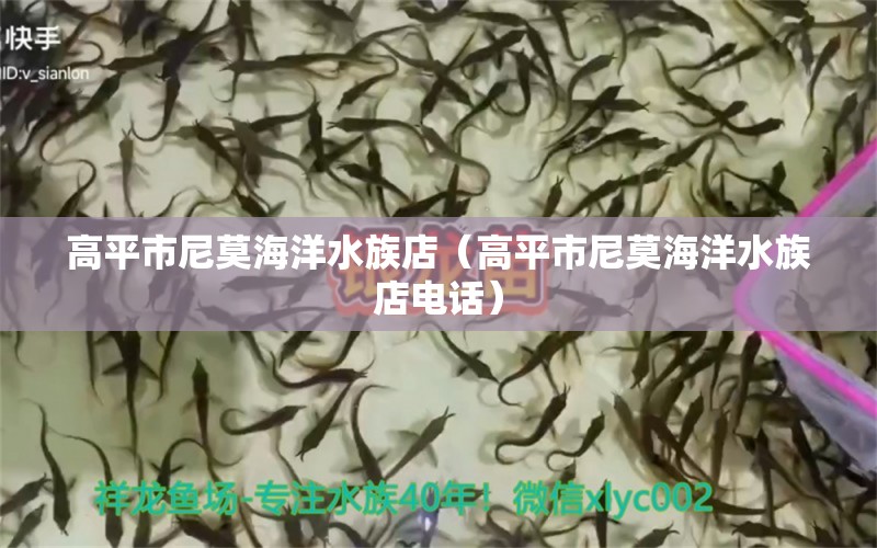 高平市尼莫海洋水族店（高平市尼莫海洋水族店电话）