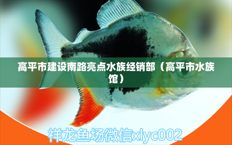 高平市建设南路亮点水族经销部（高平市水族馆）