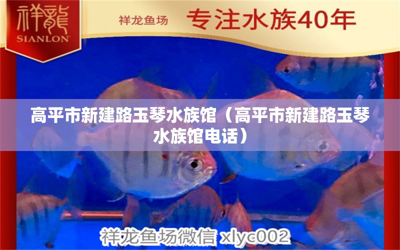 高平市新建路玉琴水族馆（高平市新建路玉琴水族馆电话）