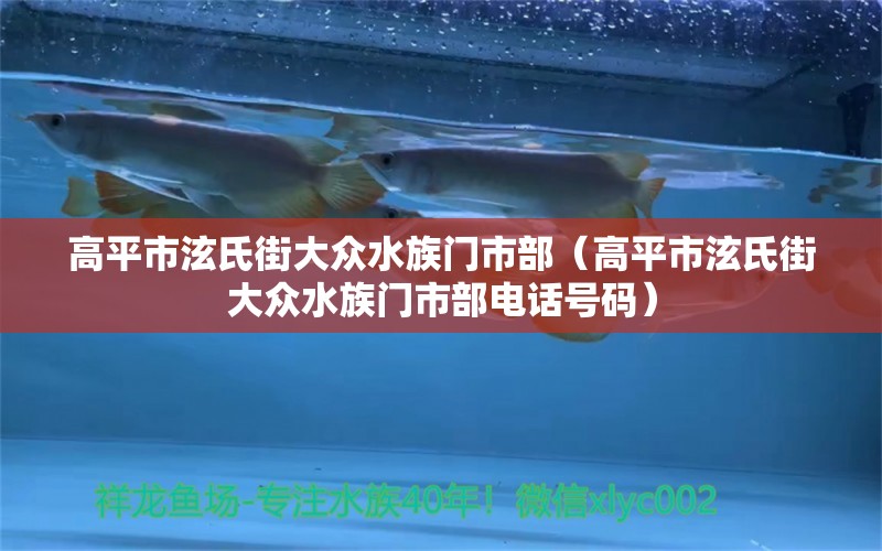 高平市泫氏街大众水族门市部（高平市泫氏街大众水族门市部电话号码） 全国水族馆企业名录