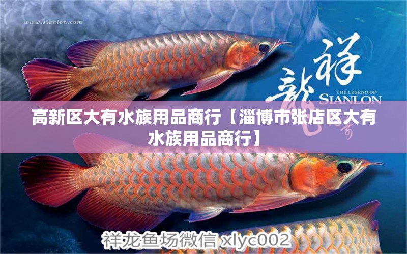 高新区大有水族用品商行【淄博市张店区大有水族用品商行】 全国观赏鱼市场 第2张