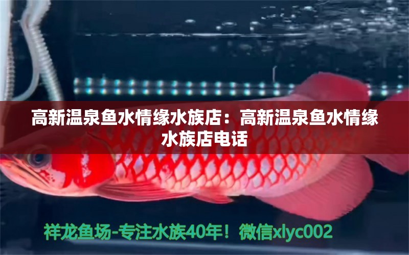 高新温泉鱼水情缘水族店：高新温泉鱼水情缘水族店电话 全国水族馆企业名录