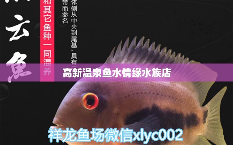 高新温泉鱼水情缘水族店 全国水族馆企业名录