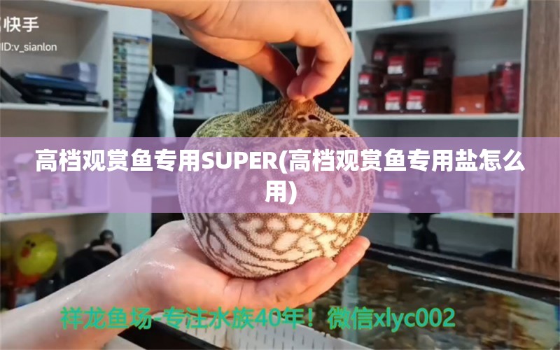 高档观赏鱼专用SUPER(高档观赏鱼专用盐怎么用) 垂钓乐园