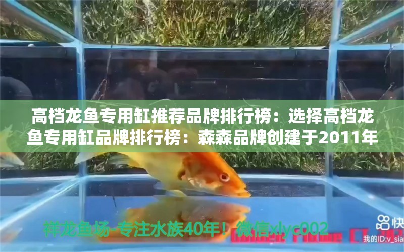 高档龙鱼专用缸推荐品牌排行榜：选择高档龙鱼专用缸品牌排行榜：森森品牌创建于2011年 龙鱼百科 第2张