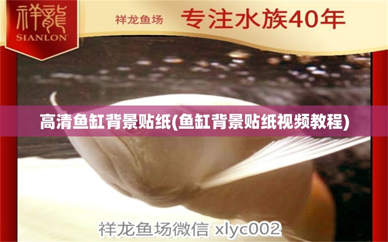 高清鱼缸背景贴纸(鱼缸背景贴纸视频教程) 其他品牌鱼缸