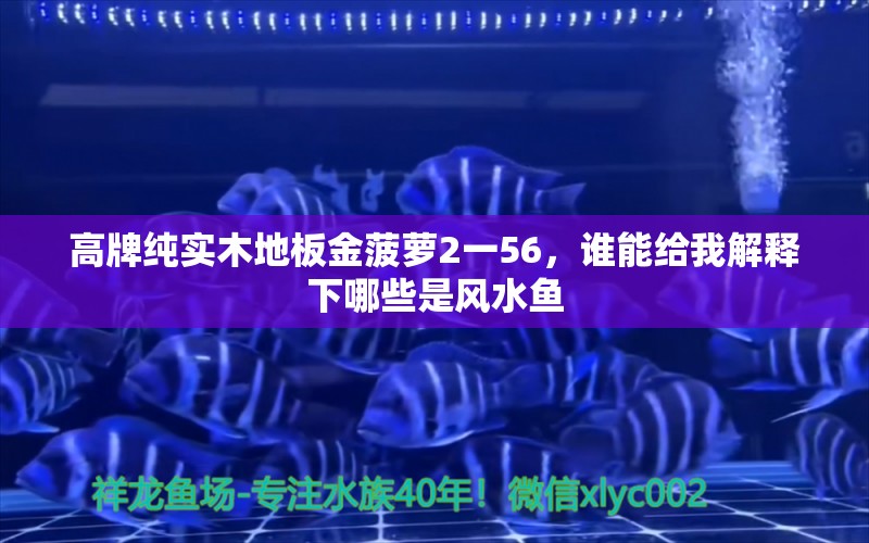 高牌纯实木地板金菠萝2一56，谁能给我解释下哪些是风水鱼