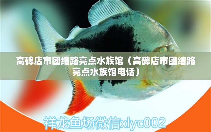 高碑店市团结路亮点水族馆（高碑店市团结路亮点水族馆电话）