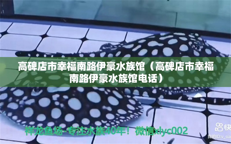 高碑店市幸福南路伊豪水族馆（高碑店市幸福南路伊豪水族馆电话）