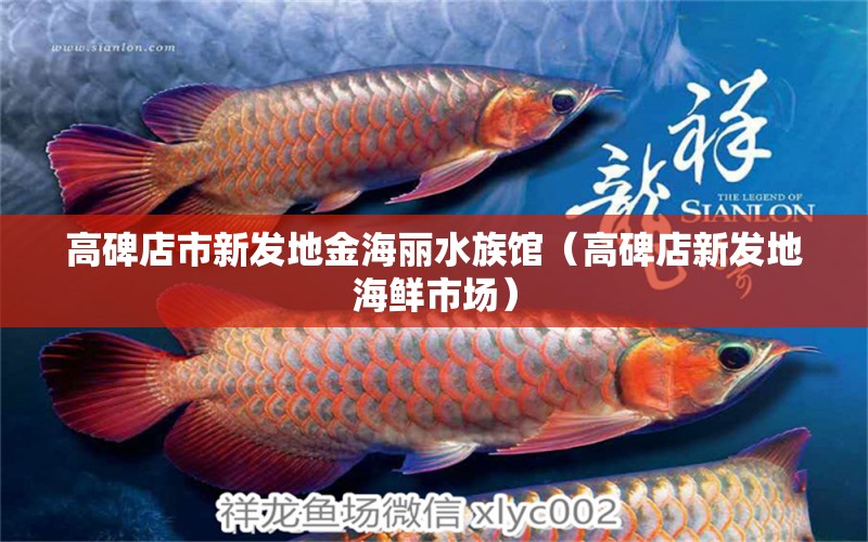 高碑店市新发地金海丽水族馆（高碑店新发地海鲜市场） 全国水族馆企业名录