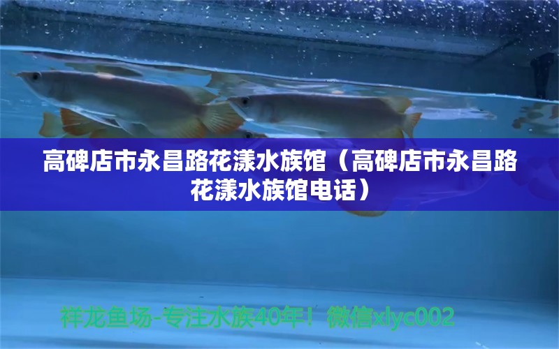 高碑店市永昌路花漾水族馆（高碑店市永昌路花漾水族馆电话） 全国水族馆企业名录