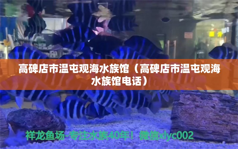 高碑店市温屯观海水族馆（高碑店市温屯观海水族馆电话）