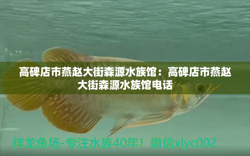 高碑店市燕赵大街森源水族馆：高碑店市燕赵大街森源水族馆电话 全国水族馆企业名录