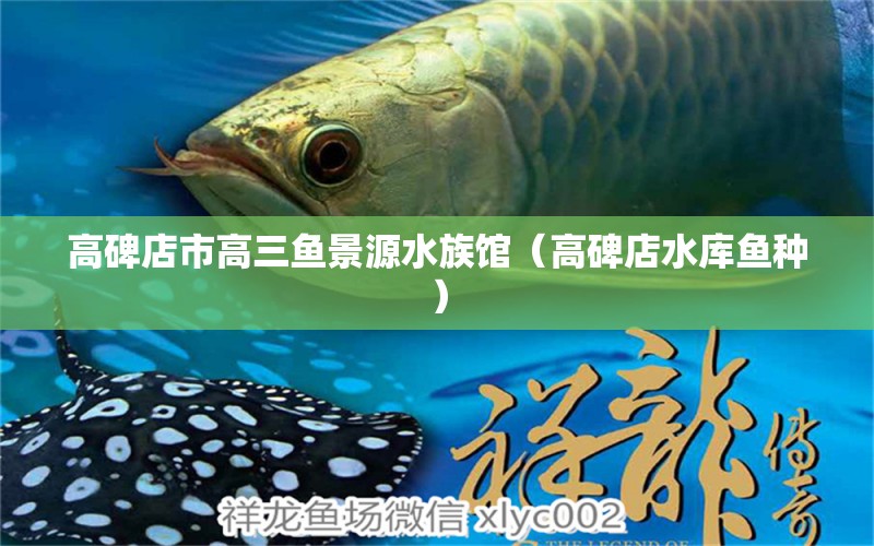 高碑店市高三鱼景源水族馆（高碑店水库鱼种）