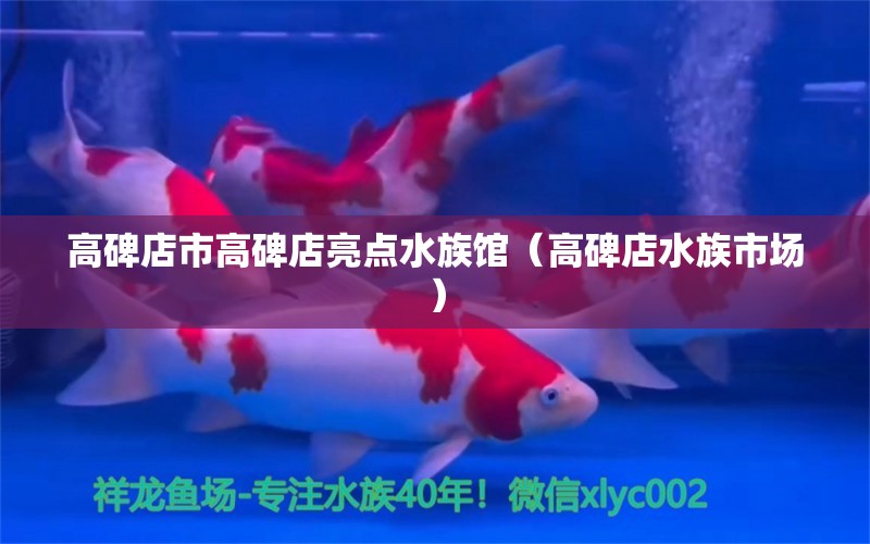 高碑店市高碑店亮点水族馆（高碑店水族市场） 全国水族馆企业名录