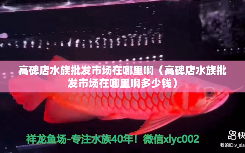 高碑店水族批发市场在哪里啊（高碑店水族批发市场在哪里啊多少钱）