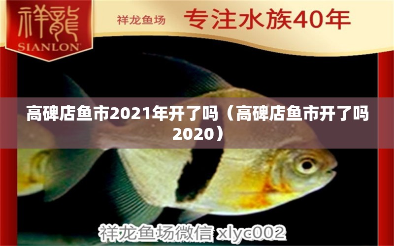 高碑店鱼市2021年开了吗（高碑店鱼市开了吗2020） 广州龙鱼批发市场