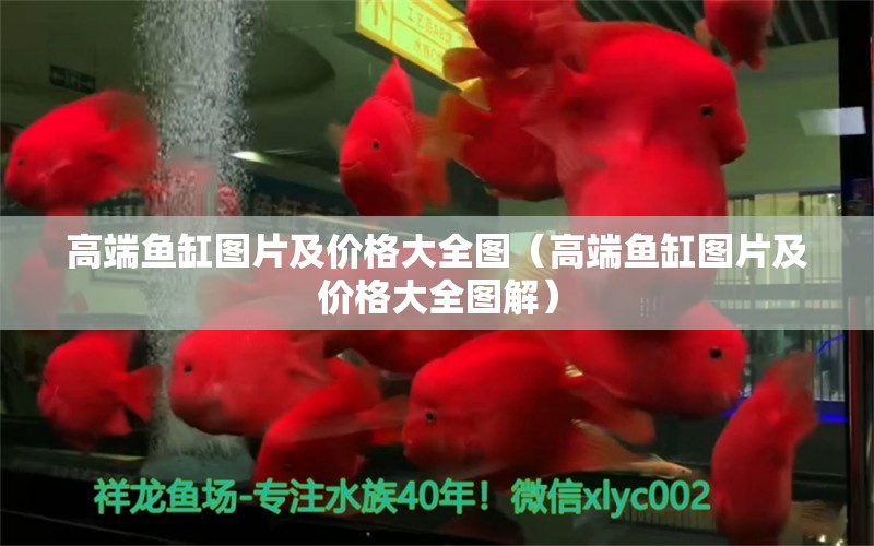 高端鱼缸图片及价格大全图（高端鱼缸图片及价格大全图解） 祥龙水族医院