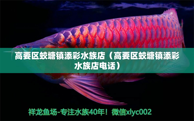 高要区蛟塘镇添彩水族店（高要区蛟塘镇添彩水族店电话） 全国水族馆企业名录