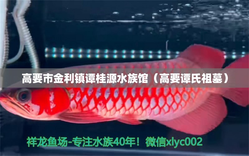 高要市金利镇谭桂源水族馆（高要谭氏祖墓） 全国水族馆企业名录