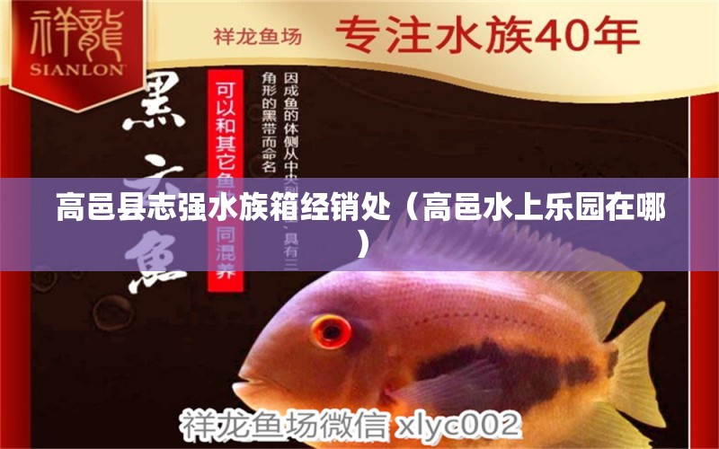 高邑县志强水族箱经销处（高邑水上乐园在哪）