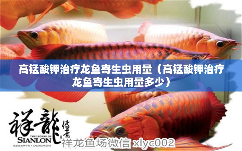 高锰酸钾治疗龙鱼寄生虫用量（高锰酸钾治疗龙鱼寄生虫用量多少）