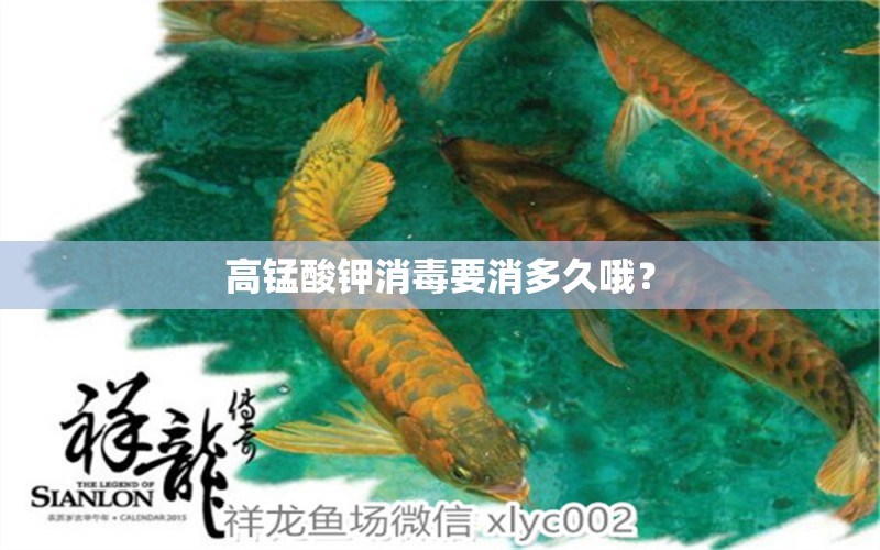 高锰酸钾消毒要消多久哦？ 眼斑鱼 第2张