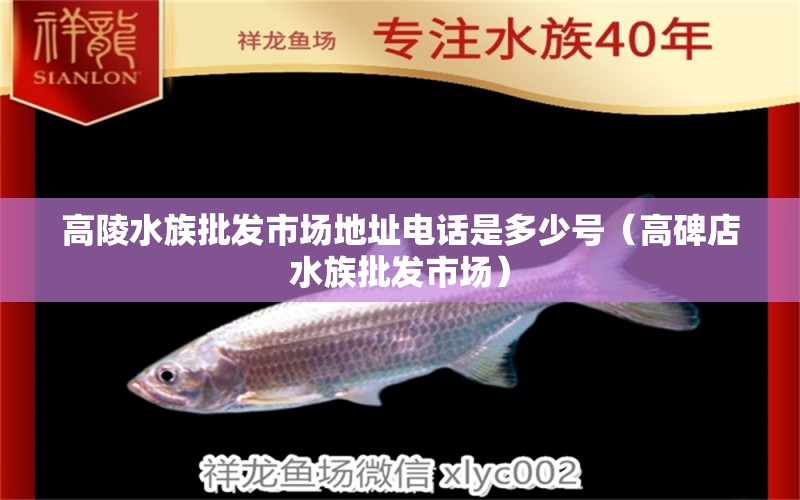 高陵水族批发市场地址电话是多少号（高碑店水族批发市场）