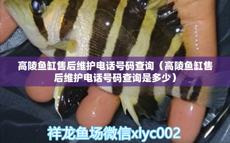 高陵鱼缸售后维护电话号码查询（高陵鱼缸售后维护电话号码查询是多少） 其他品牌鱼缸