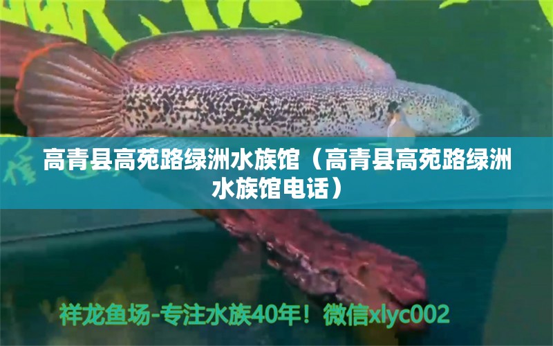 高青县高苑路绿洲水族馆（高青县高苑路绿洲水族馆电话）