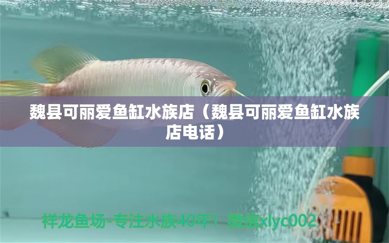 魏县可丽爱鱼缸水族店（魏县可丽爱鱼缸水族店电话） 全国水族馆企业名录